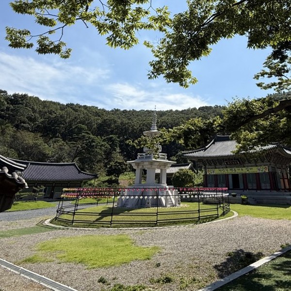 수목장, 장례시설 홈페이지